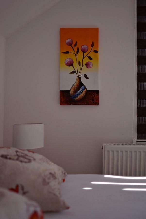Apartmani Nikolic Visegrad Luaran gambar